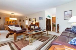 3699 Twinmaple Dr-10